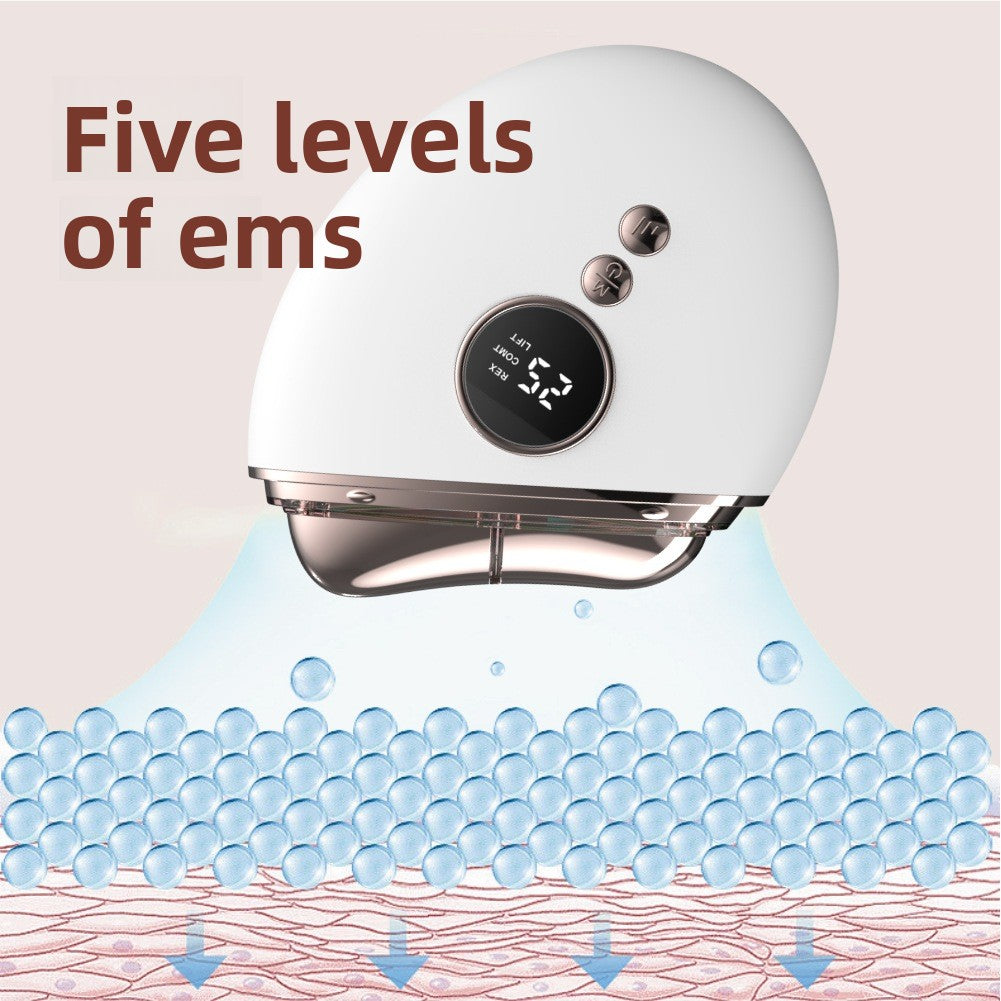 Facial Neck Massager with Microcurrent Vibration Light Therapy