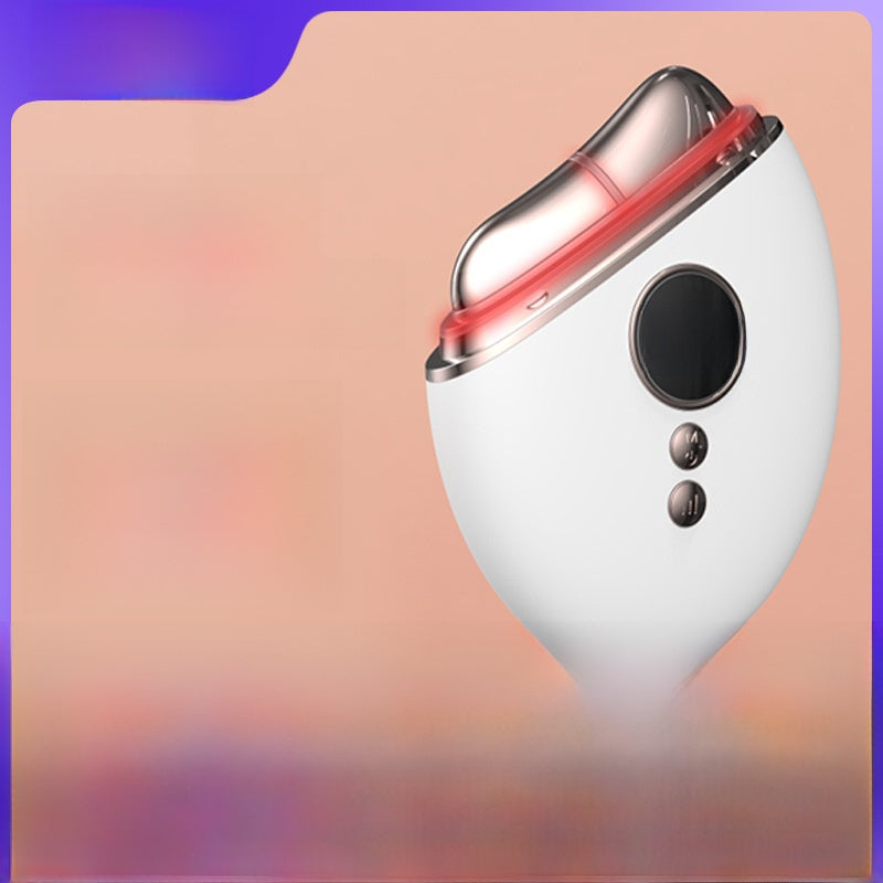 Facial Neck Massager with Microcurrent Vibration Light Therapy